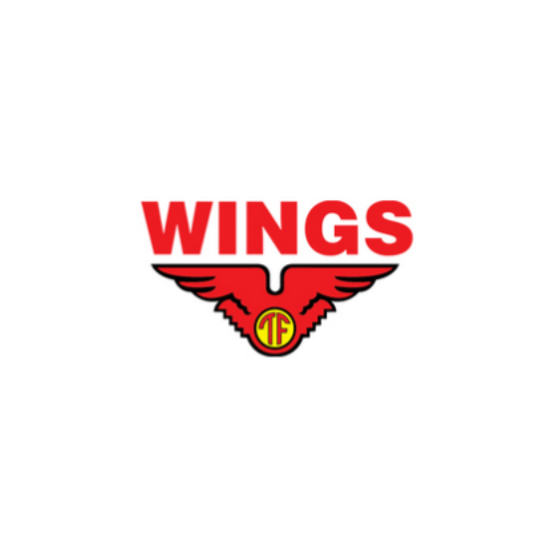 Lowongan Kerja PT Aneka Mitra Gemilang (Wings Group)